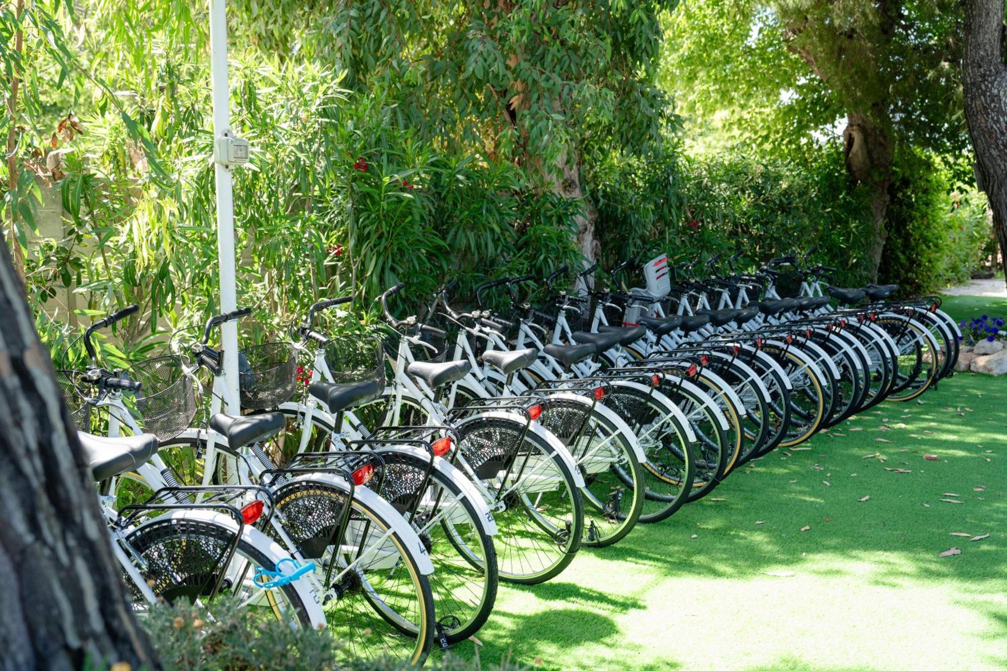 Hotel Club Del Sole Stork Family Collection Giulianova Exteriér fotografie
